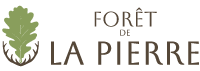 Forêt de la Pierre